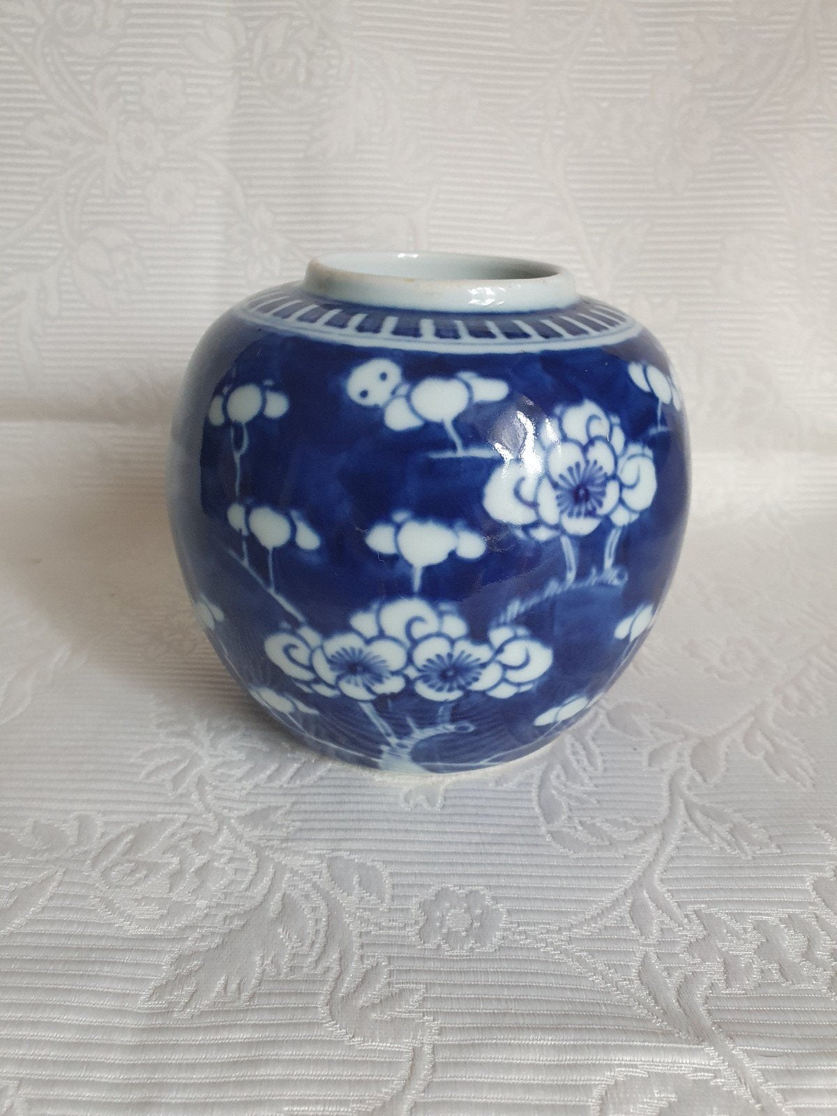 Chinese gember pot prunus, Ophalen of Verzenden