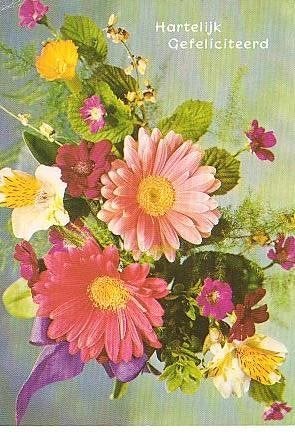 Ansichtkaart 	Bloemen	Gerbera's, Verzenden, 1960 tot 1980, Gelopen, Natuur