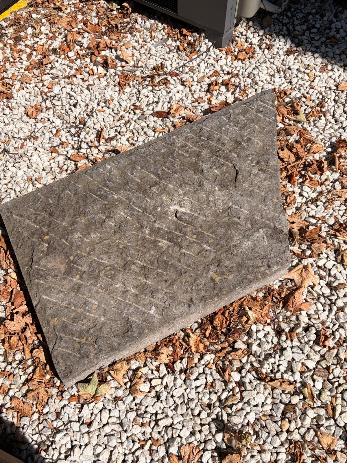 Gratis Decoratieve Steen/Kei - Uniek voor tuin of interieur, Ophalen, Overige materialen, Gebruikt, Kei