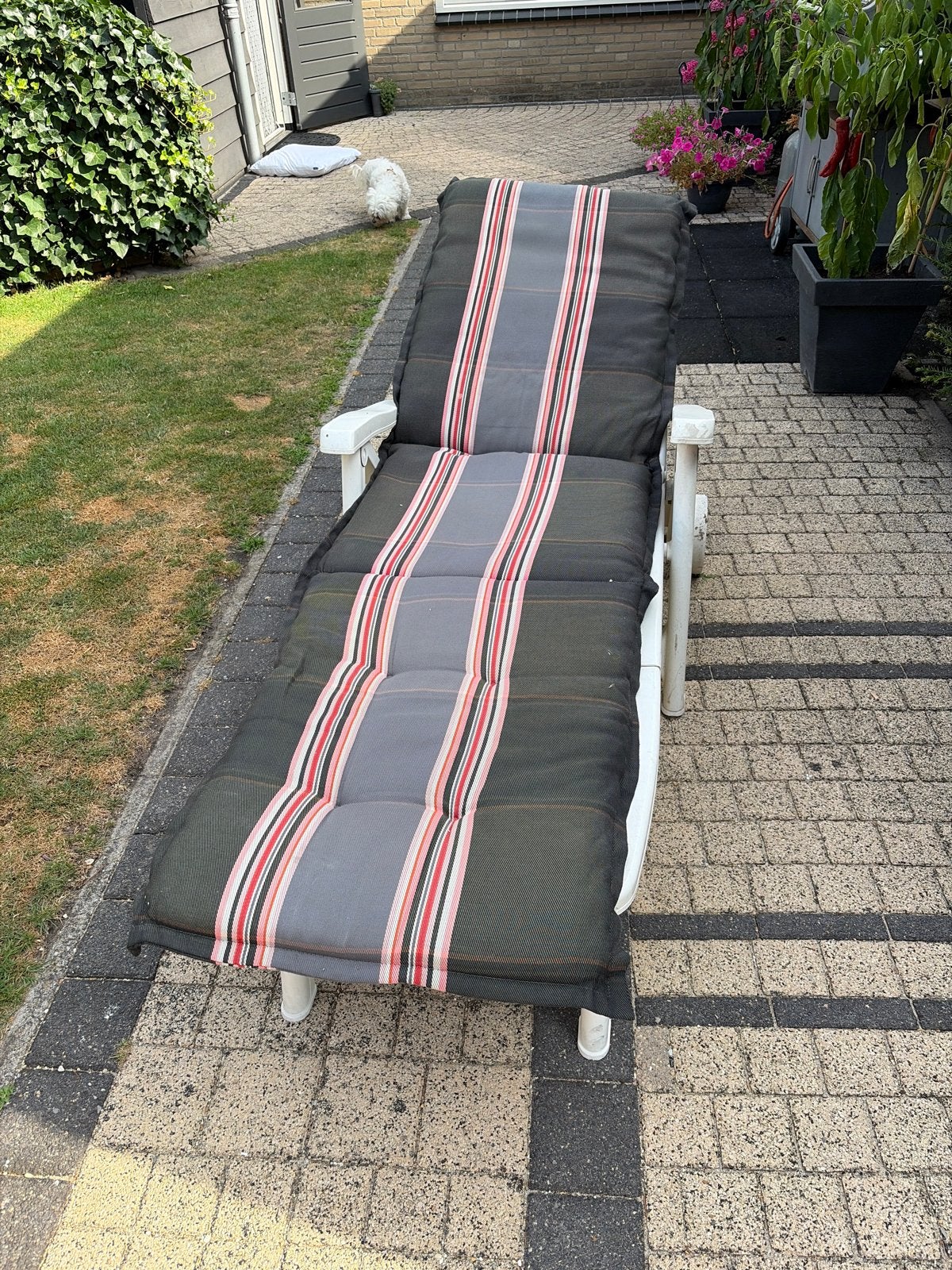 Ligbed met kussen - verstelbaar en comfortabel, Ophalen, Gebruikt, Kunststof, Verstelbaar