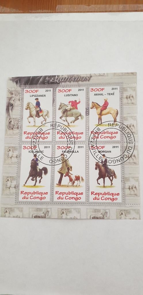 5373 congo paarden equitation, Verzenden, Overige landen