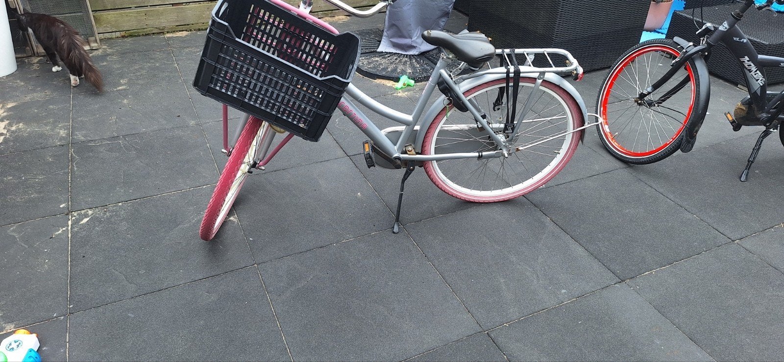 Cortina meisjes fiets 26 inch., Terugtraprem, Gebruikt, Cortina U4 Transport, Versnellingen