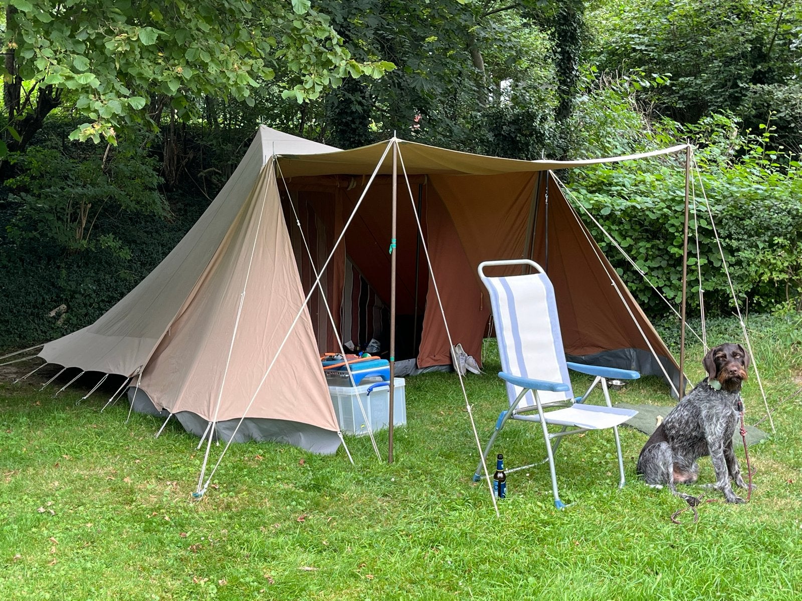 De Waard Albatros Junior tent met luifel en zijscherm, Caravans en Kamperen, Ophalen, Gebruikt, Tot en met 3