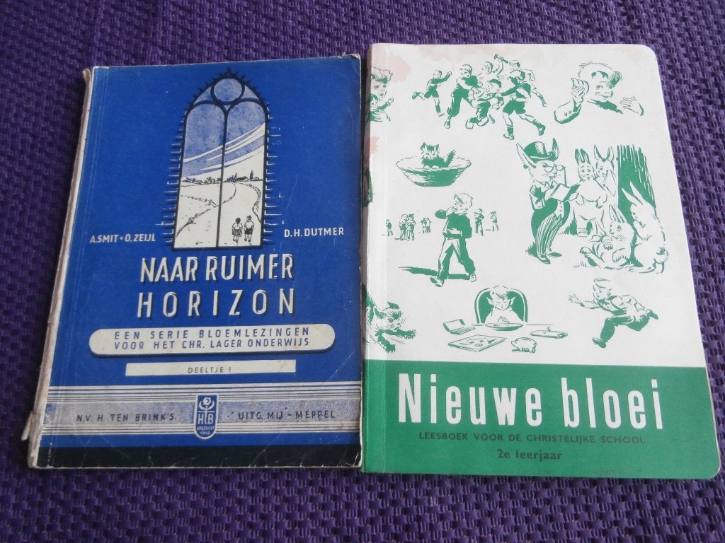 Oude schoolboeken Naar ruimer horizon Nieuwe bloei antiek, Antiek en Kunst, Antiek | Boeken en Bijbels, Ophalen of Verzenden