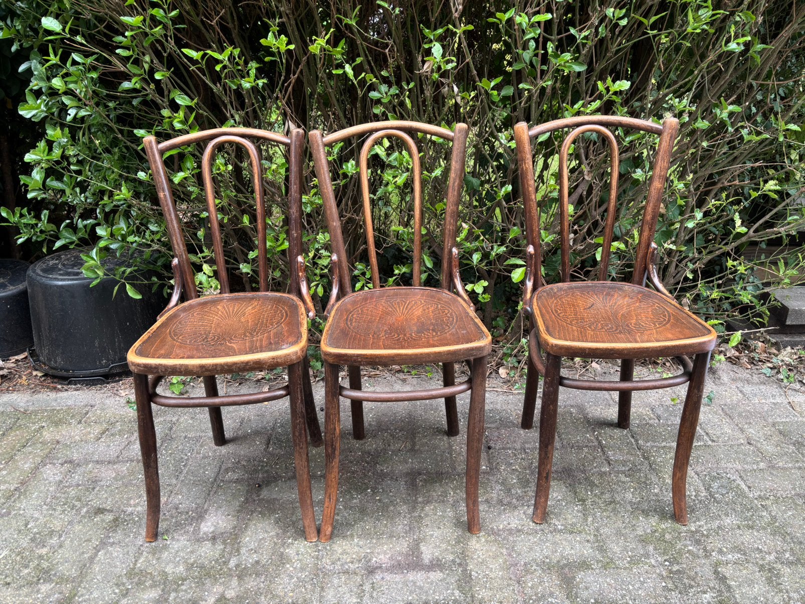 drie Thonet stoelen, Cosmos, Antiek en Kunst, Ophalen