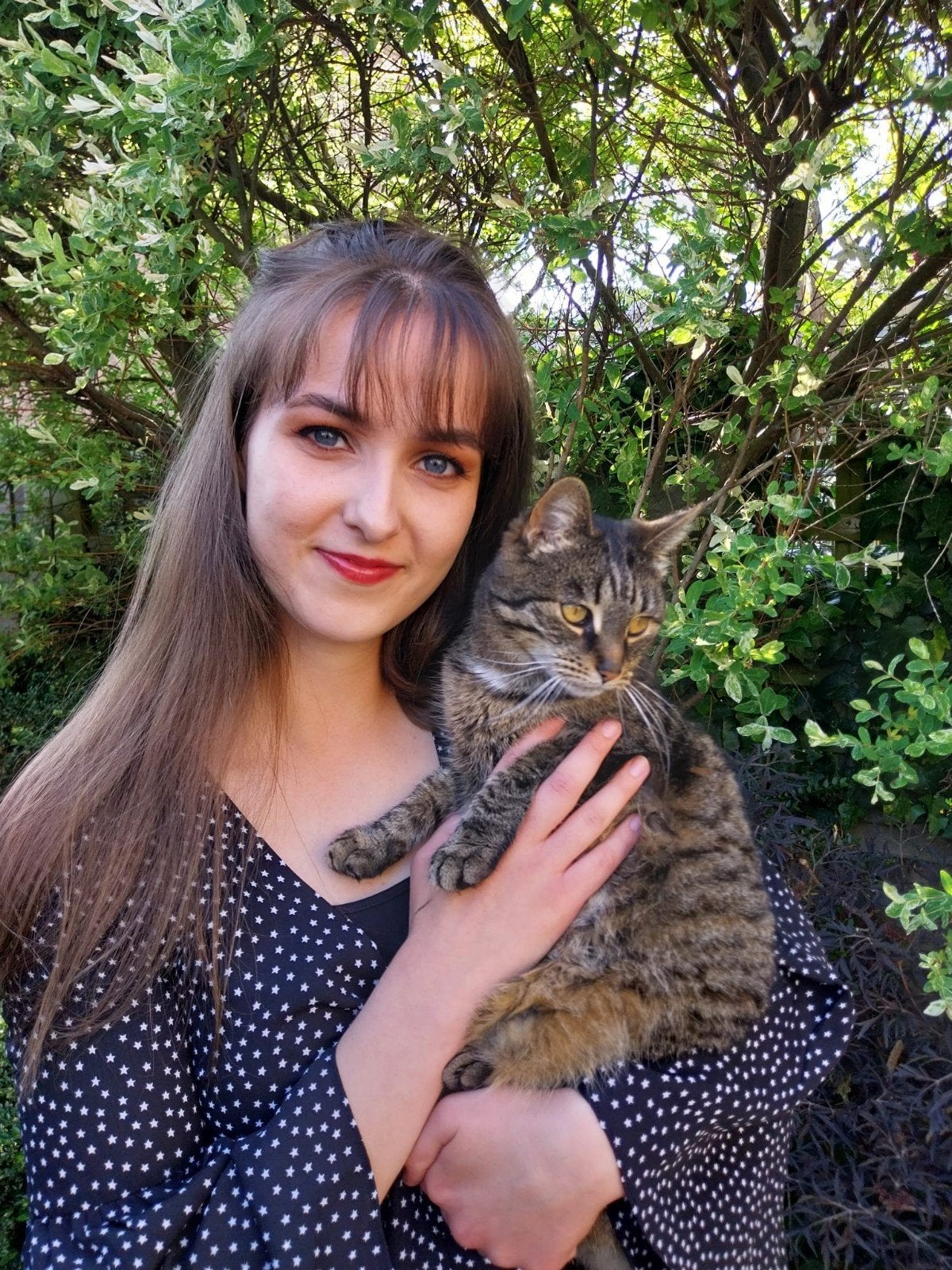 Rustig logeeradres voor kat/ kattenopvang, Ophalen