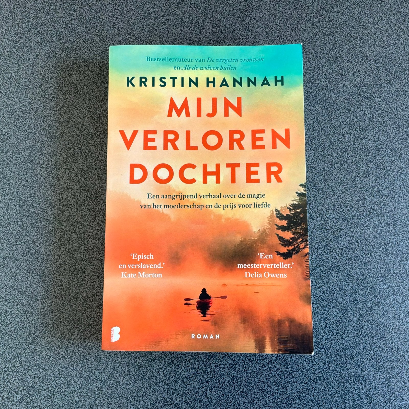Mijn Verloren Dochter - Kristin Hannah (Zo goed als nieuw), Boeken, Ophalen of Verzenden, Zo goed als nieuw