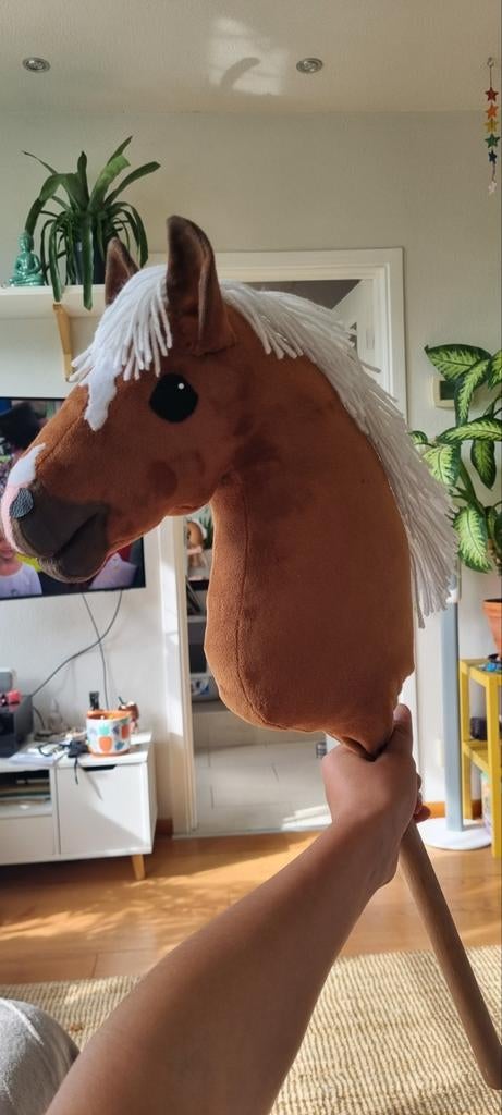 Hobby horse zweetvos, Ophalen of Verzenden