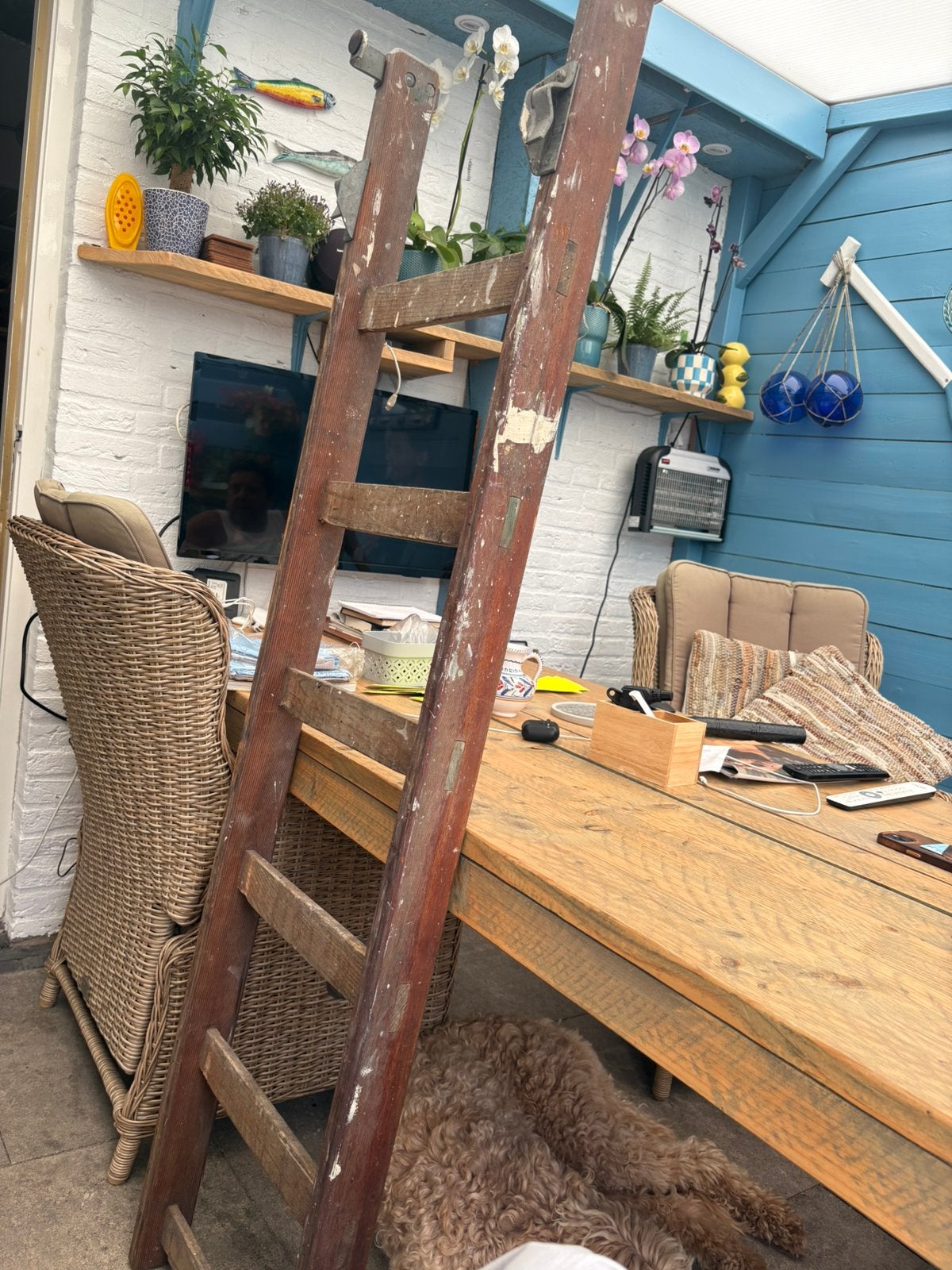 Schilder ladder planten ladder sier ladder, Ophalen, Zo goed als nieuw, Minder dan 2 meter