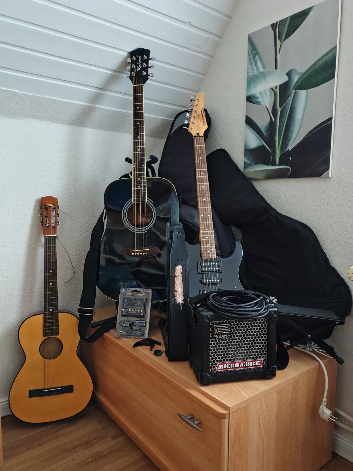 Yamaha electric gitaar,richwood akoestiek,Roland micro cube, Ophalen, Overige merken