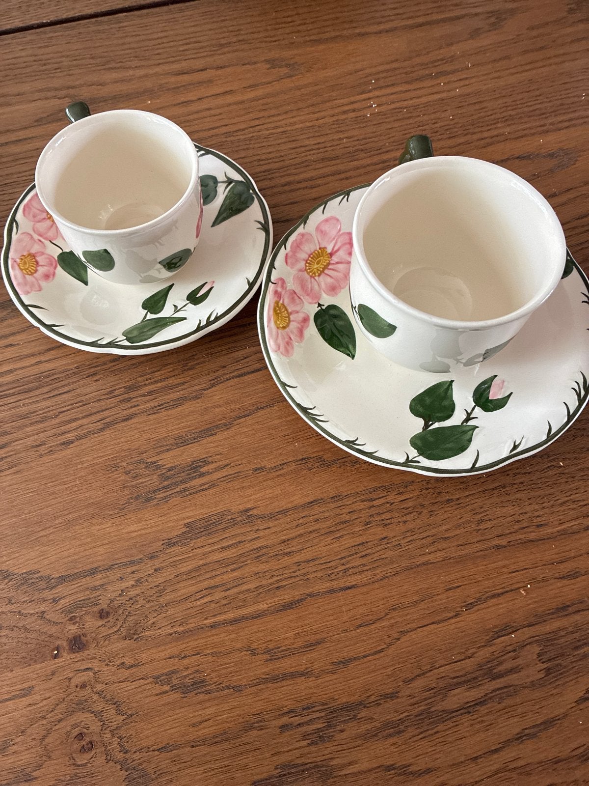 Villeroy & Boch Wild-Rose Kop en Schotel (2 stuks), Ophalen