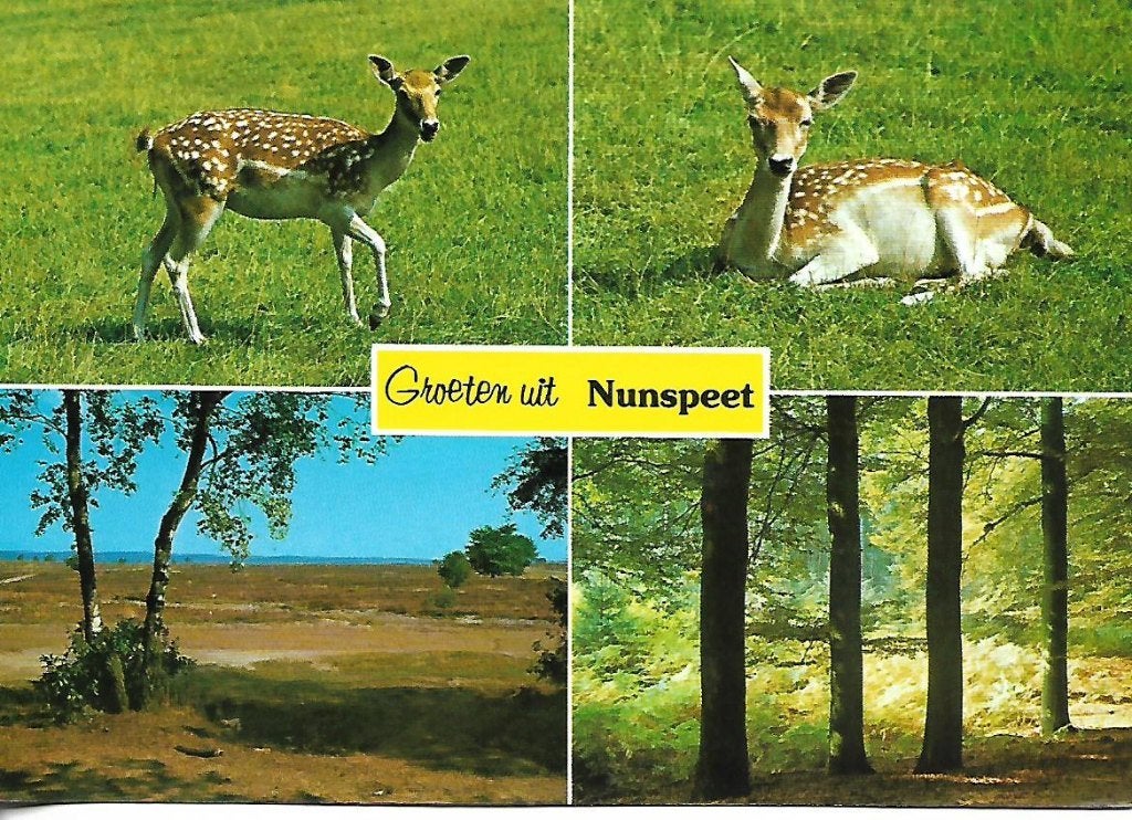 Nunspeet- -4-luik., Verzenden, 1980 tot heden, Gelopen, Gelderland