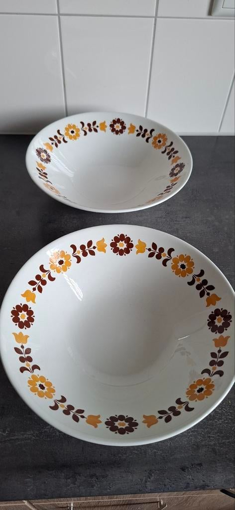 Diepe (soep) borden Richard Ginori Laveno, Huis en Inrichting, Keuken | Servies, Ophalen of Verzenden, Zo goed als nieuw, Bord(en)