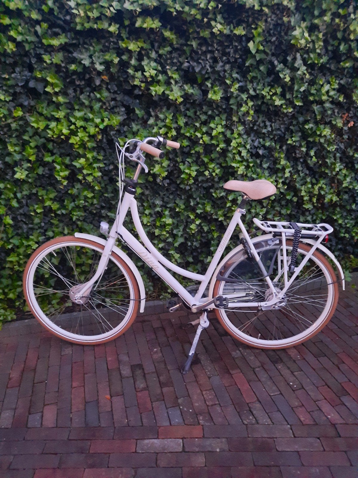 Dames fiets crème merk Batavus Diva 62 inch, Ophalen, Versnellingen, Batavus, 56 cm of meer