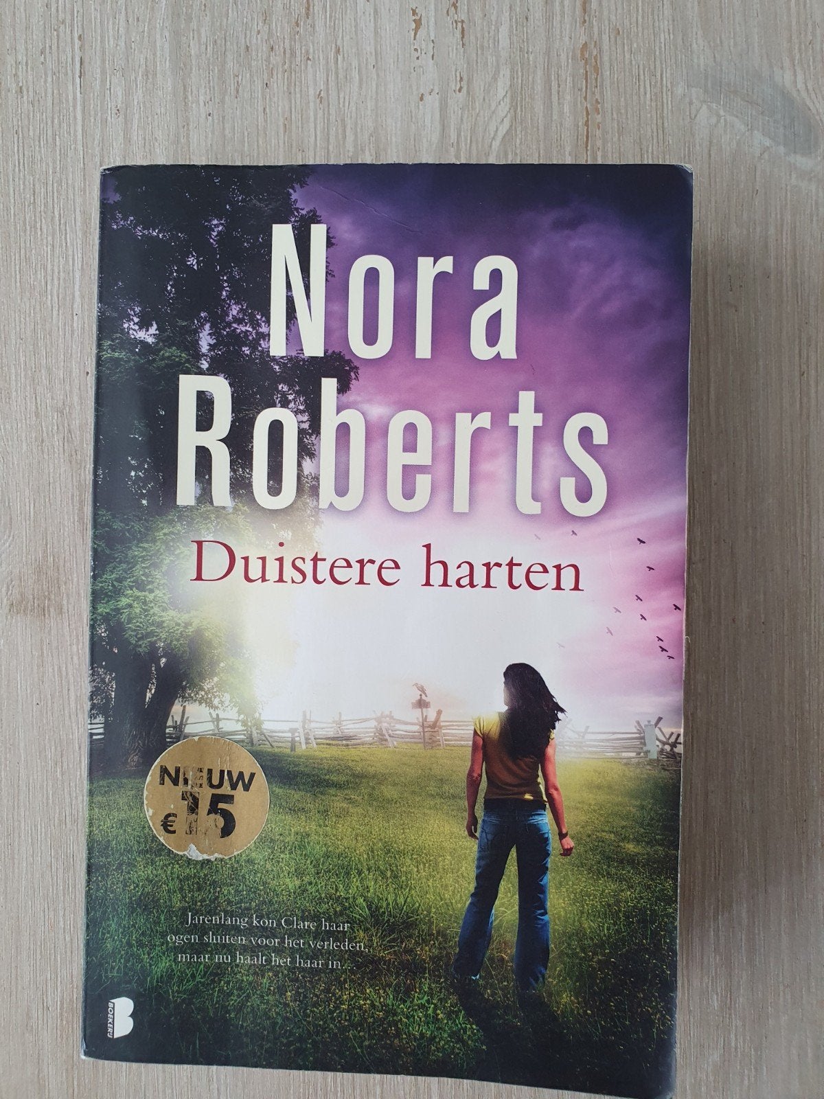 17 x Nora Roberts, Boeken, Romans, Zo goed als nieuw, Ophalen of Verzenden