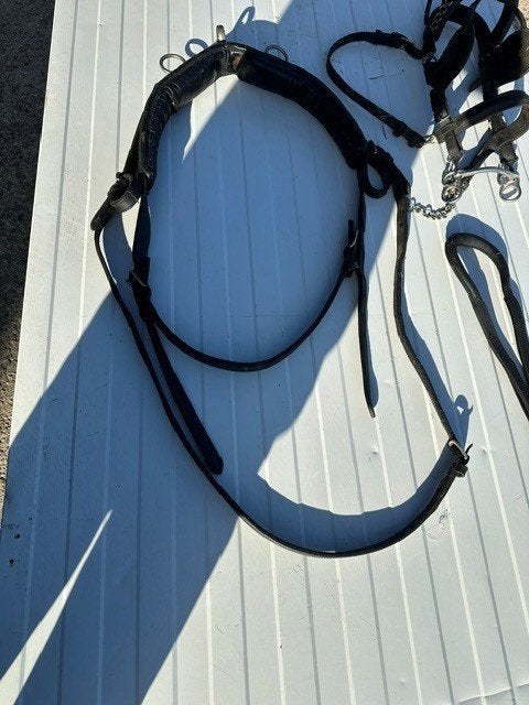 concourstuig en enkelspan tuig, Dieren en Toebehoren, Paarden en Pony's | Hoofdstellen en Tuigage, Ophalen, Gebruikt, Overige disciplines