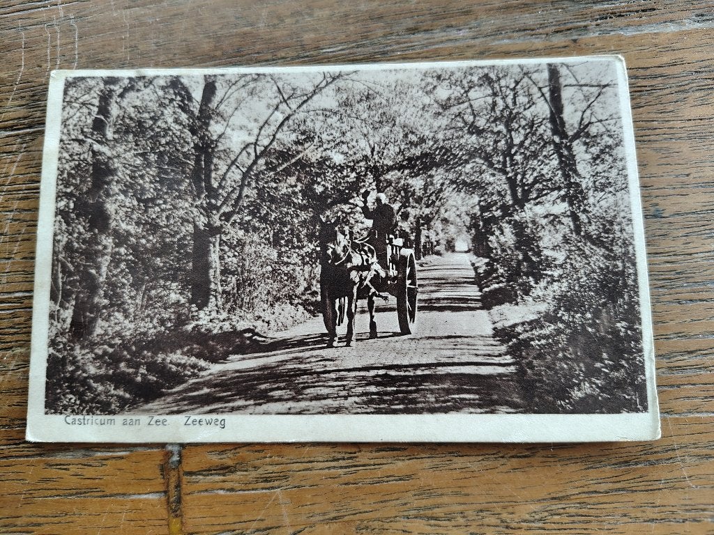 Castricum aan zee Zeeweg, Ophalen of Verzenden, Voor 1920, Zuid-Holland