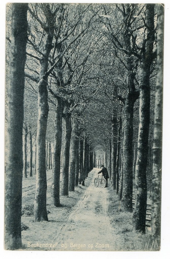 Bergen op Zoom, Ophalen of Verzenden, Voor 1920, Gelopen, Noord-Brabant