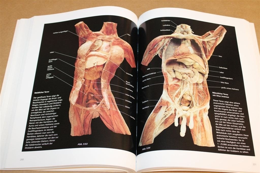 Körperwelten — Plastinatie Anatomie von Hagens, Ophalen of Verzenden, Gelezen, Natuurwetenschap