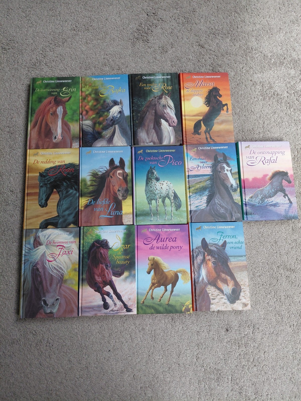 Christine Linneweever boekenserie, €5 per stuk., Boeken, Ophalen, Zo goed als nieuw, Paarden of Pony's