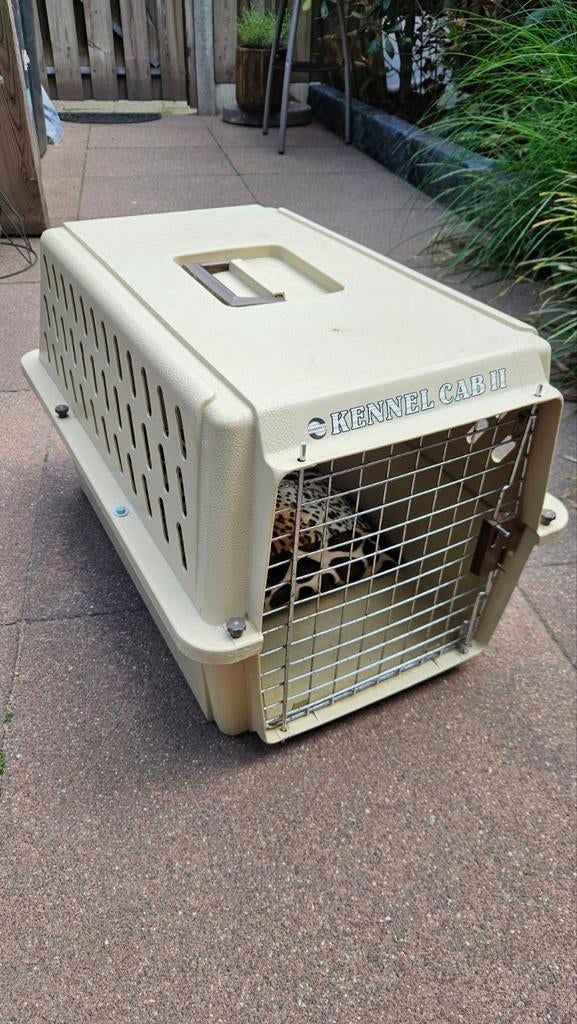 Katten en honden  draagmand, Ophalen of Verzenden, Zo goed als nieuw