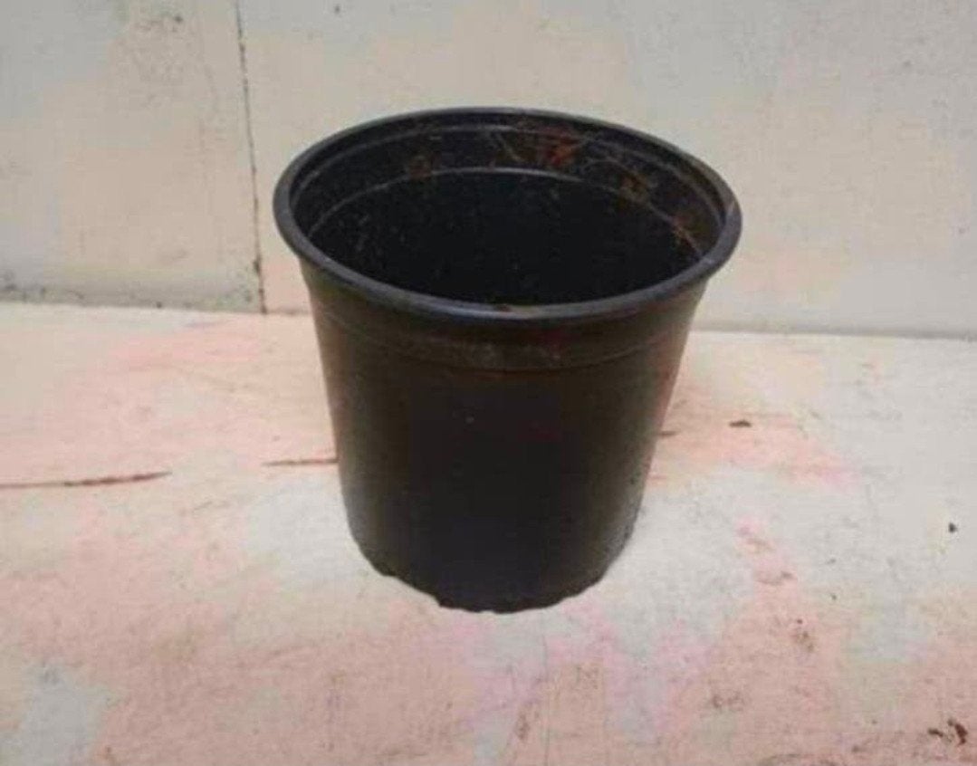 Kweekpotten plantenpotten bloempotten 17 cm, Kunststof, Gebruikt, Rond, Ophalen of Verzenden