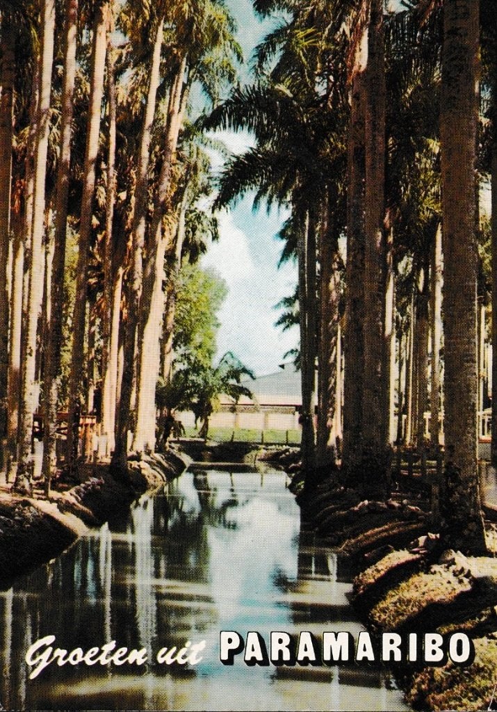 Paramaribo           751, Ophalen of Verzenden, Voor 1920