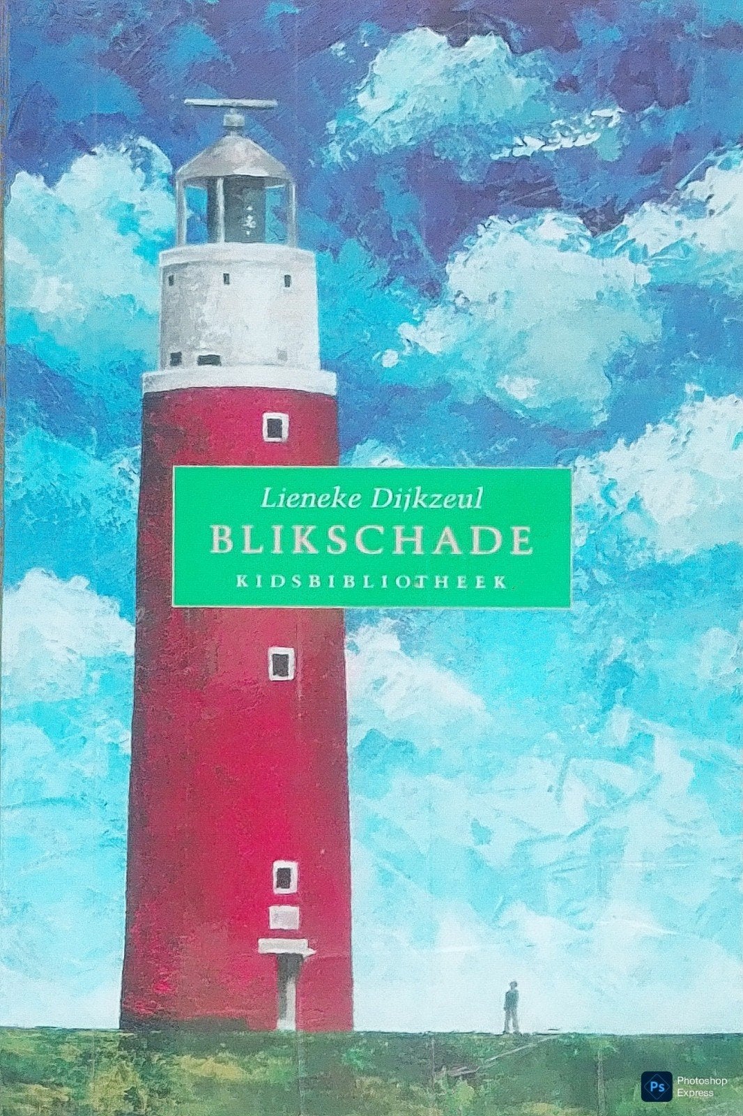 Blikschade, Gelezen, Ophalen of Verzenden, Lieneke Dijkzeul., Fictie