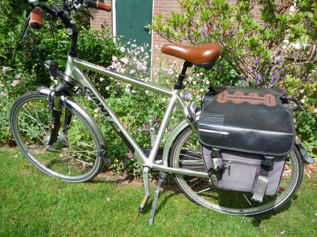 Giant e-bike  Twist Go Double Power (heren), Ophalen, Gebruikt, Minder dan 30 km per accu, Giant