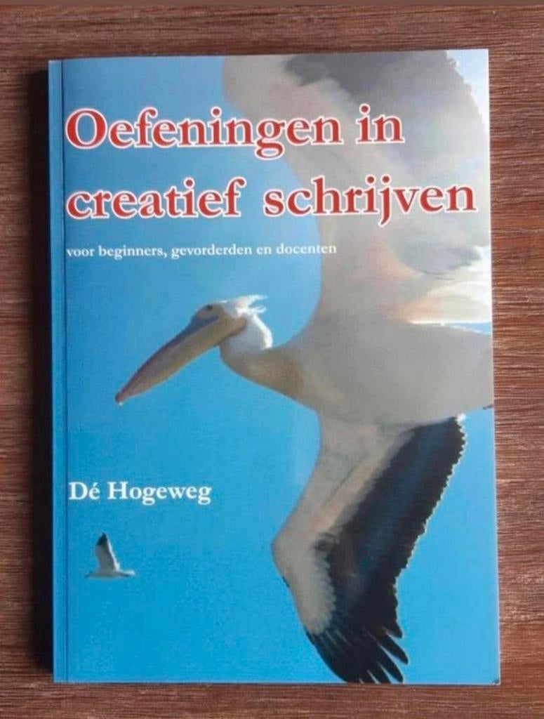 Oefeningen in creatief schrijven Dé Hogeweg zgan, Boeken, Ophalen of Verzenden, Zo goed als nieuw, Dé Hogeweg