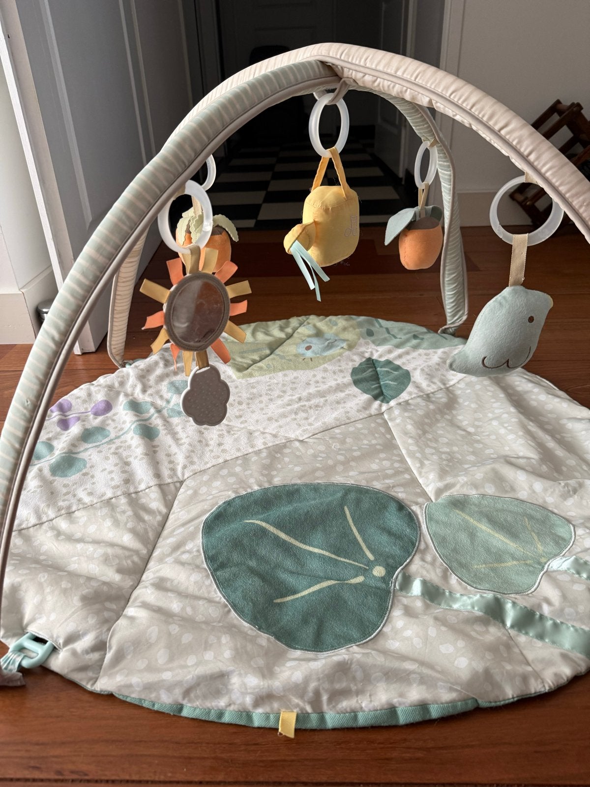 Skip Hop Speelkleed met Babygym, Ophalen of Verzenden, Zo goed als nieuw, Speelkleed, Met geluid