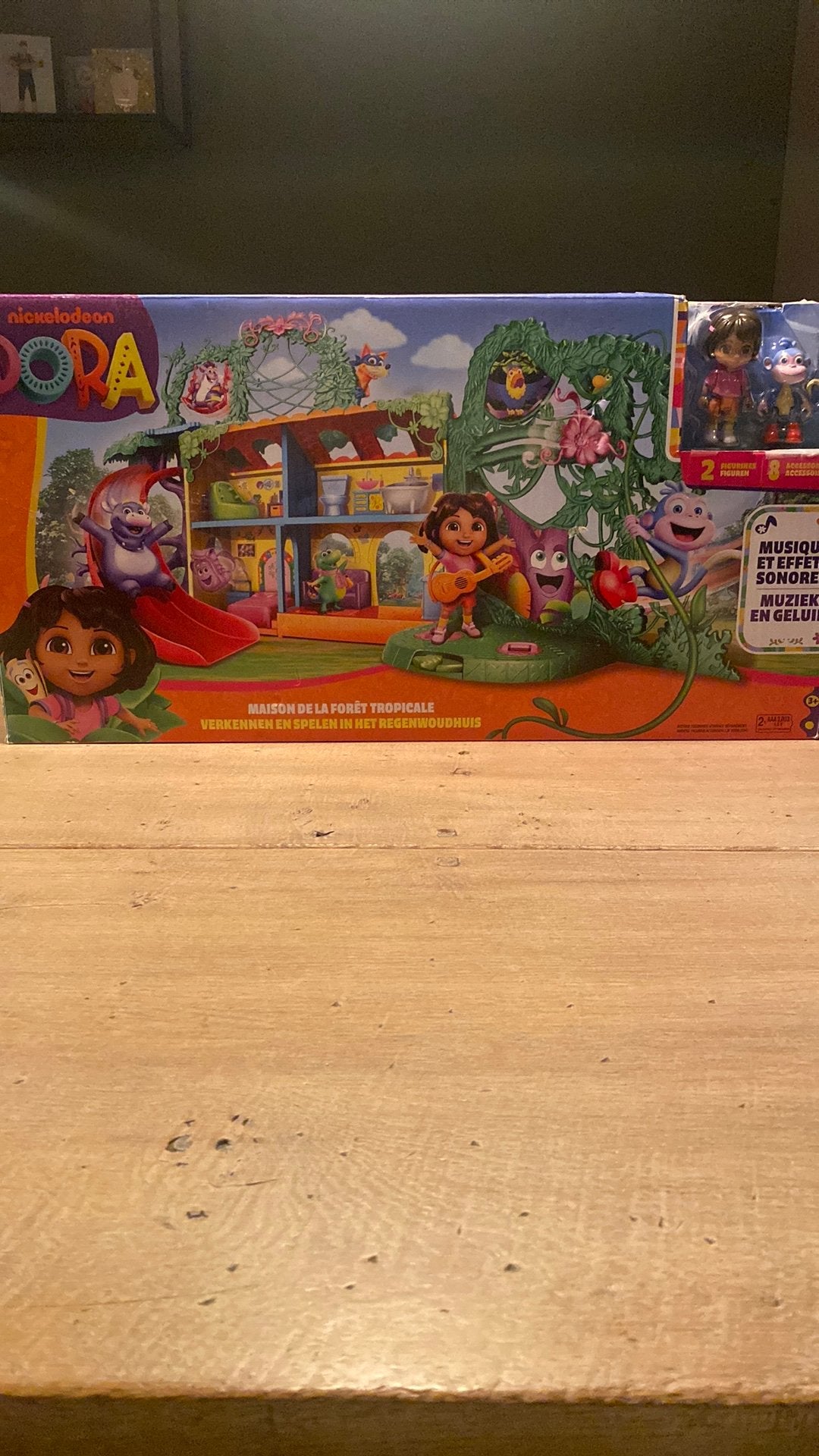 Dora Regenwoudhuis, Ophalen of Verzenden, Zo goed als nieuw, Jongen of Meisje