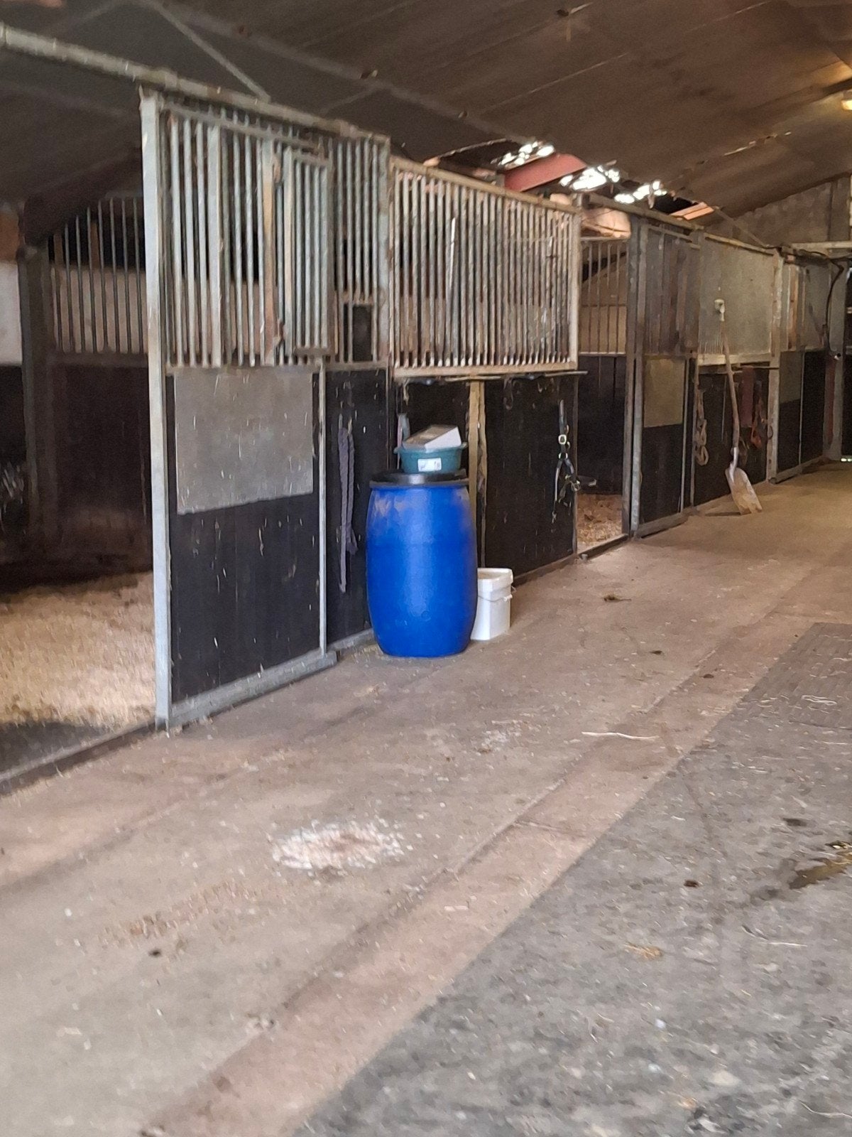 Volpensio(e)nstalling met weidegang, Dieren en Toebehoren, Stalling
