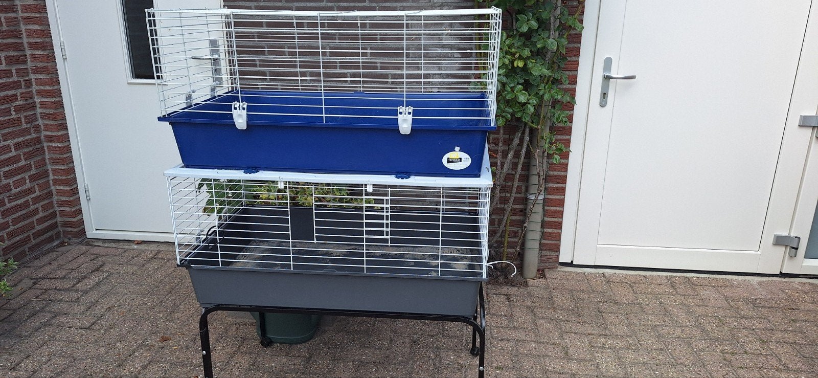 cavia kooi, Kooi, Gebruikt, 75 tot 110 cm, Cavia