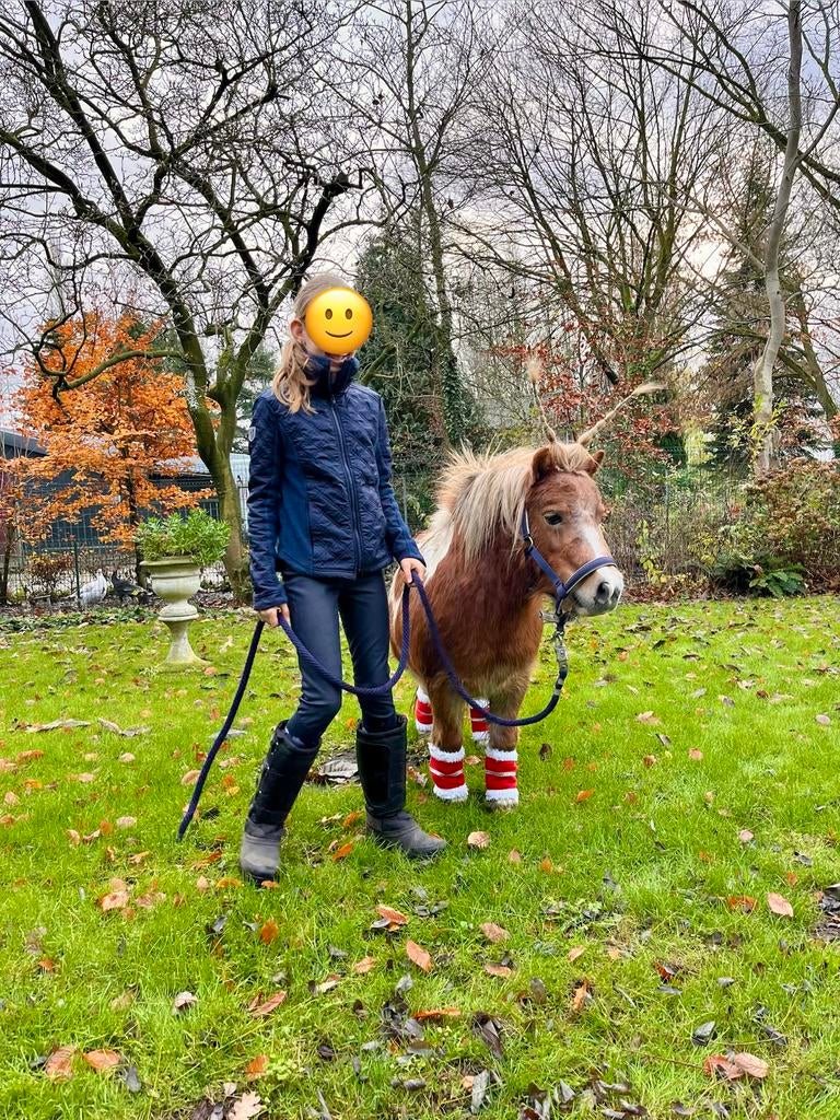 Aangeboden bijrijder Pony, Dieren en Toebehoren, Ophalen, Nieuw