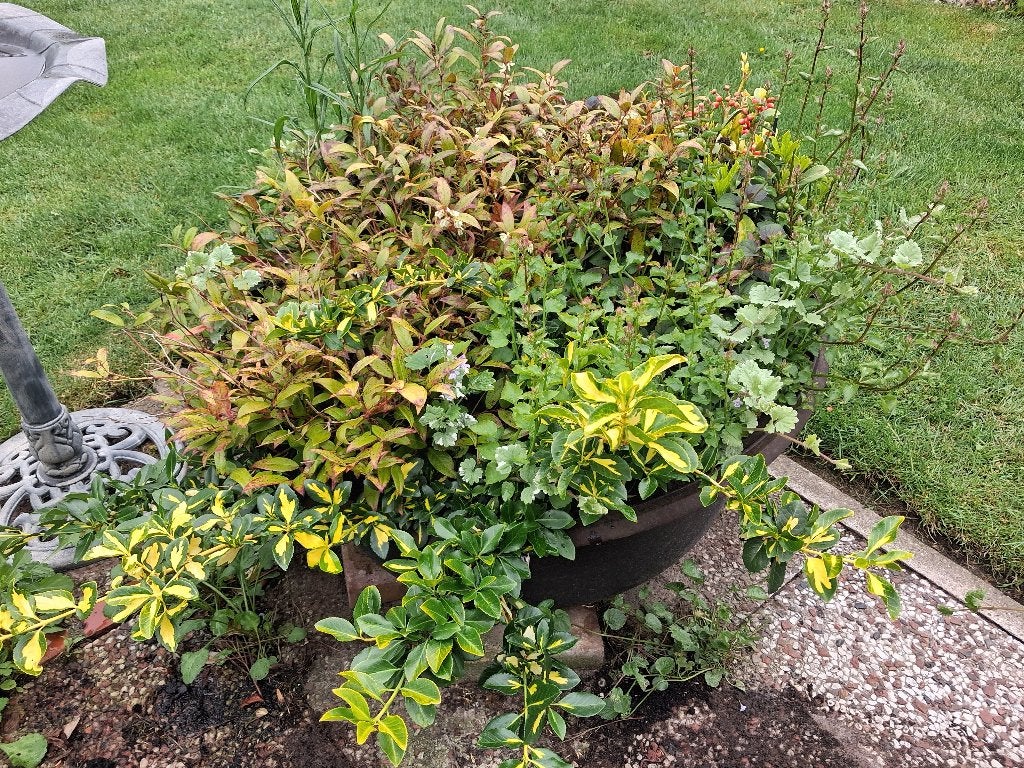 tuin antiek gietijzeren pot deksel jaar 1930 2 oren, Ophalen, Gebruikt, Rond, Metaal