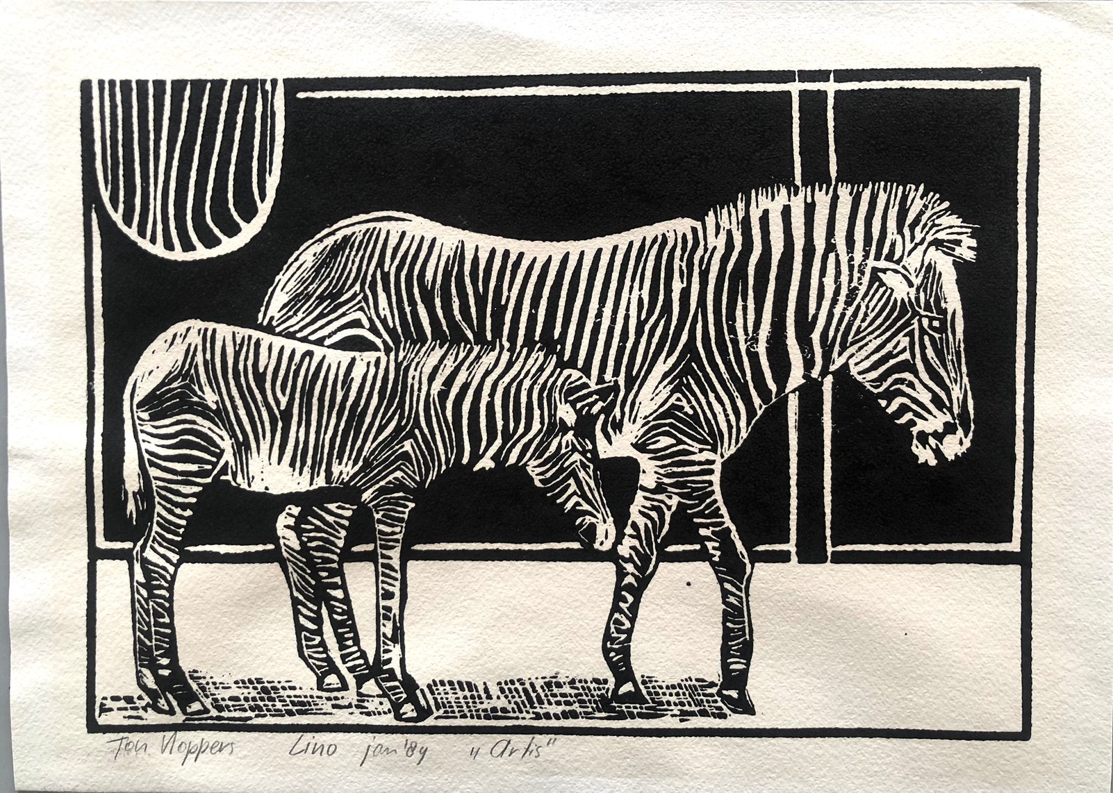 Lino “Artis-zebra’s II”), Ophalen of Verzenden