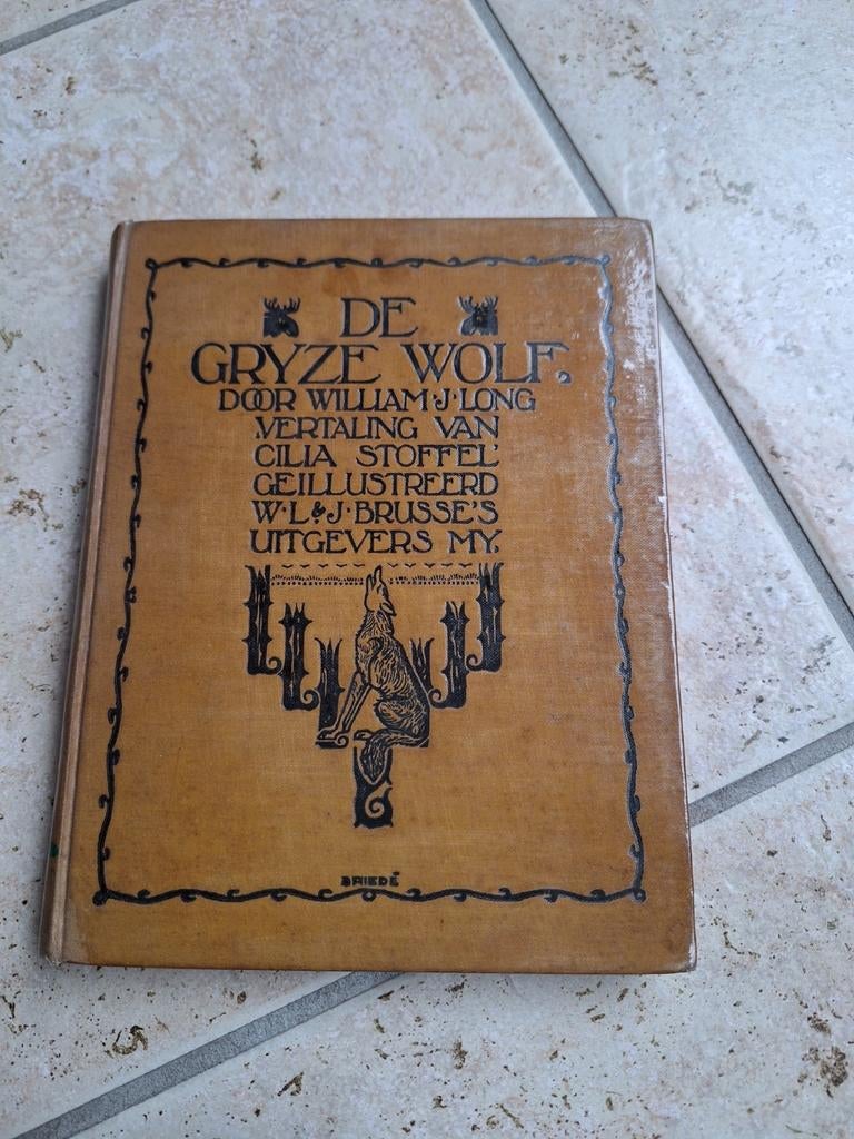 De Gryze wolf, Boeken, Dieren en Huisdieren, Ophalen of Verzenden, Gelezen