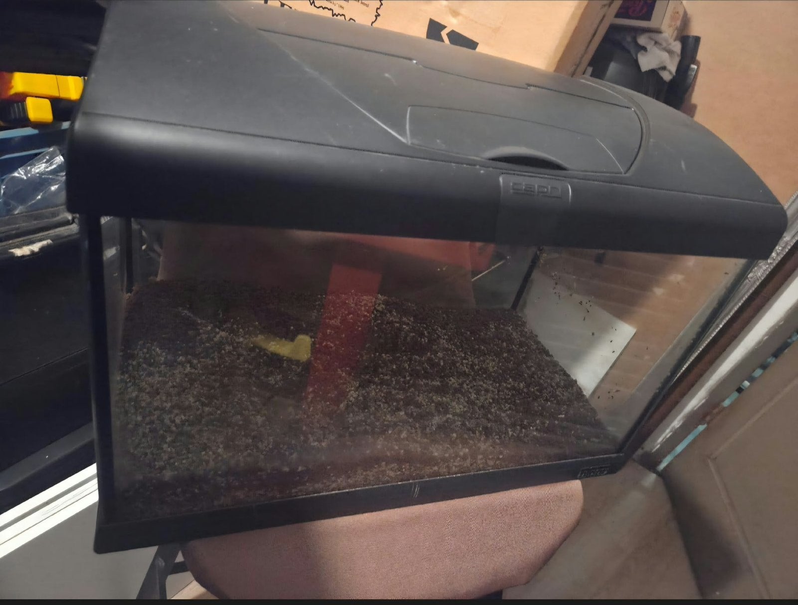 Aquarium met steentjes, Ophalen, Inclusief deksel, Gebruikt