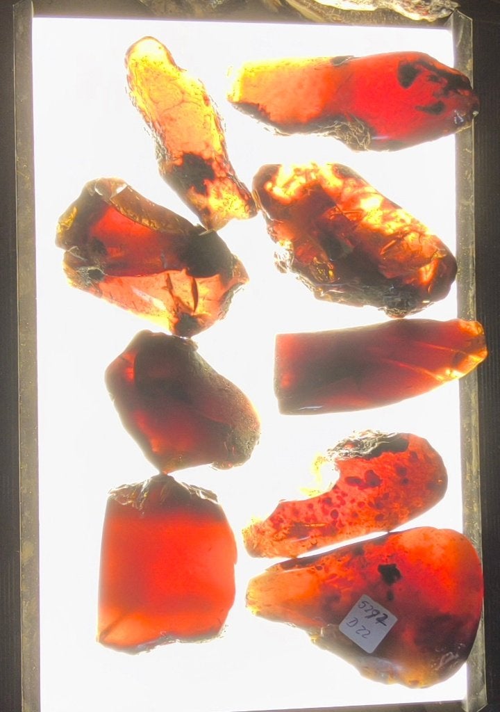 Amber ( Barnsteen), Ophalen of Verzenden, Mineraal