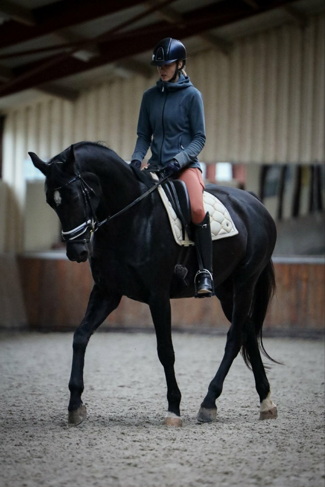 10 jarige merrie Don Olymbrio x Sir Donnerhall, Dieren en Toebehoren, Merrie, Met stamboom, M, Dressuurpaard
