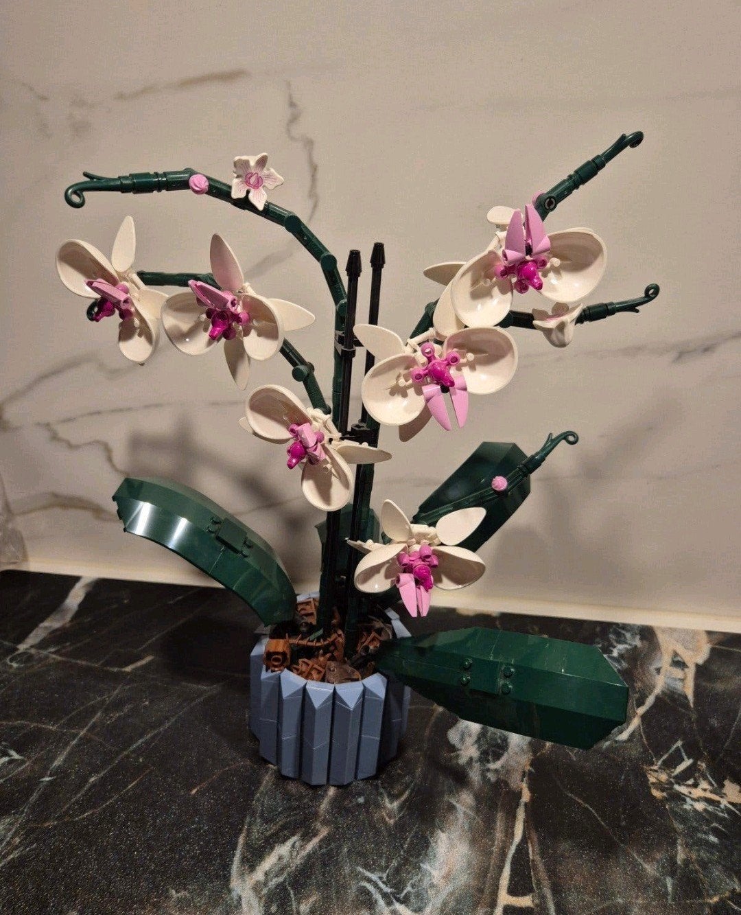 Lego Botanical Orchidee Iconic, Ophalen