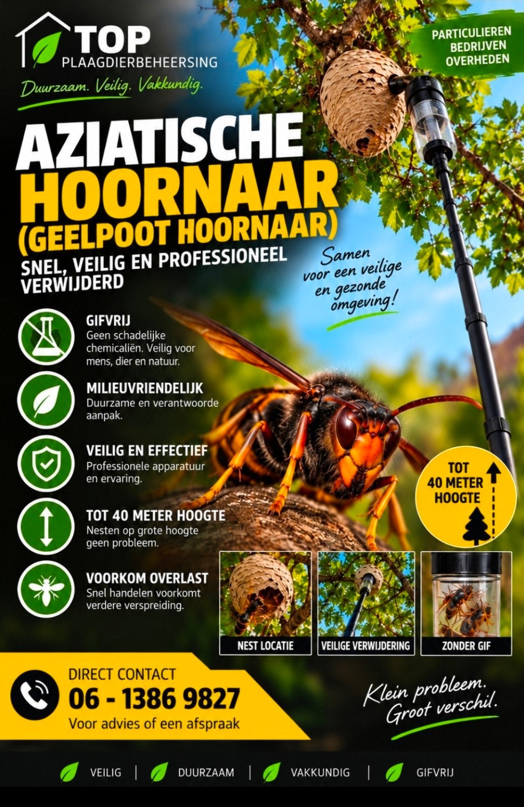 Aziatische hoornaar , Mierenbestrijding, Houtwormbestrijding