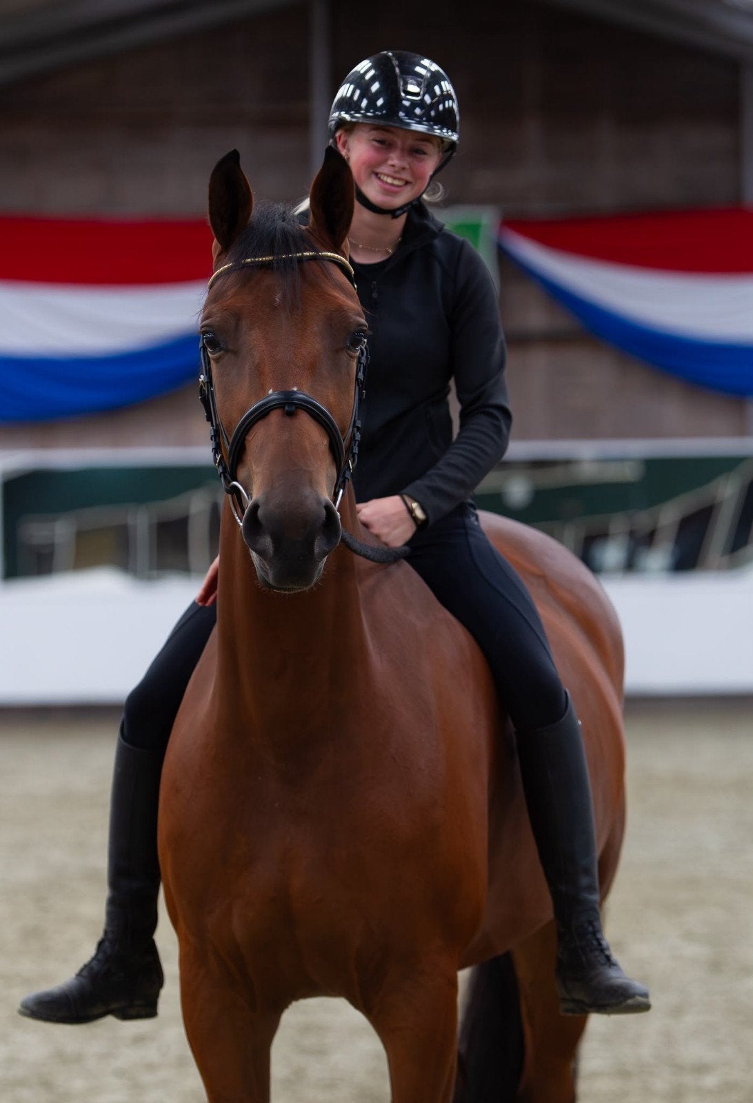4 jarige merrie 1.67 m Henkie x Sandreo, Dieren en Toebehoren, Merrie, Recreatiepaard, 3 tot 6 jaar