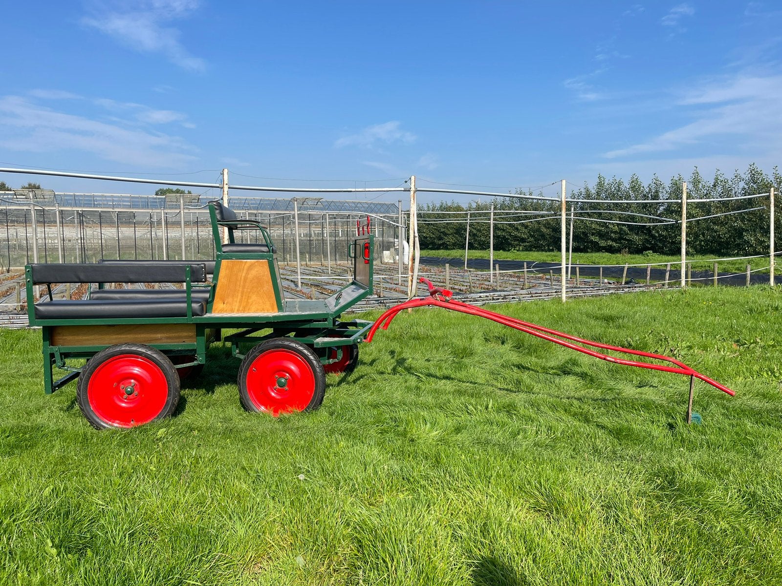 Menwagen, Gebruikt, Overige typen, Paard