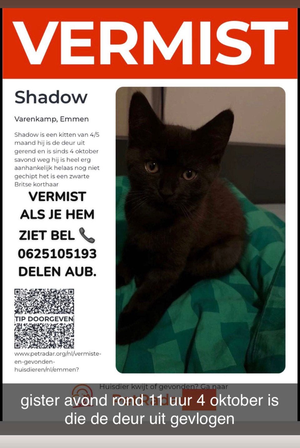DELEN AUB, Dieren en Toebehoren, Kat