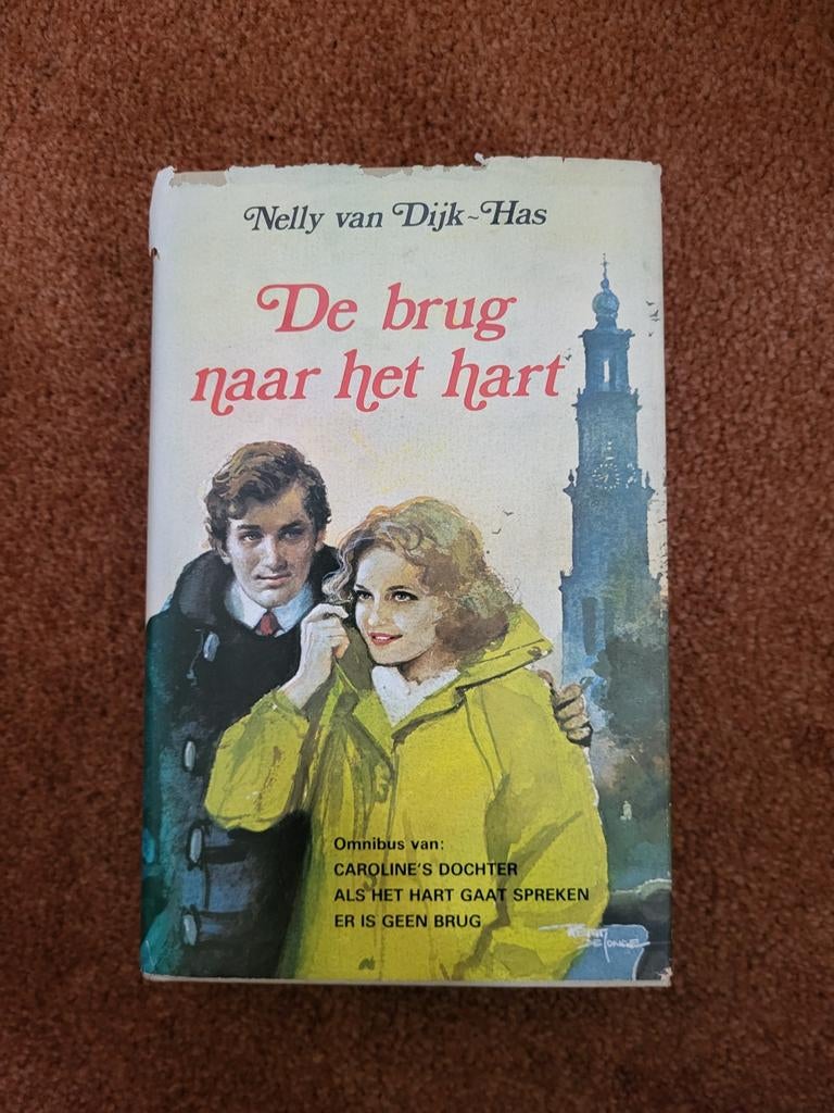 De brug naar het hart - Nelly van Dijk-Has (Omnibus), Boeken, Romans, Ophalen of Verzenden, Gelezen, Nelly van Dijk-Has, Nederland