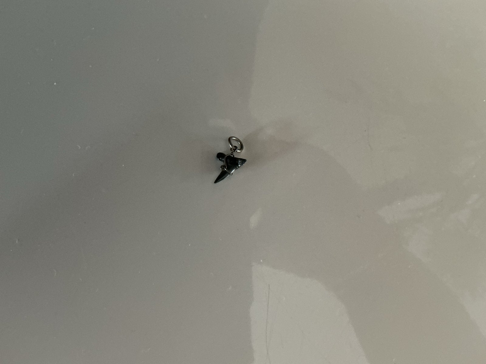 Uniek haaientand hangertje, Overige merken, Overige materialen, Gebruikt, Ophalen of Verzenden