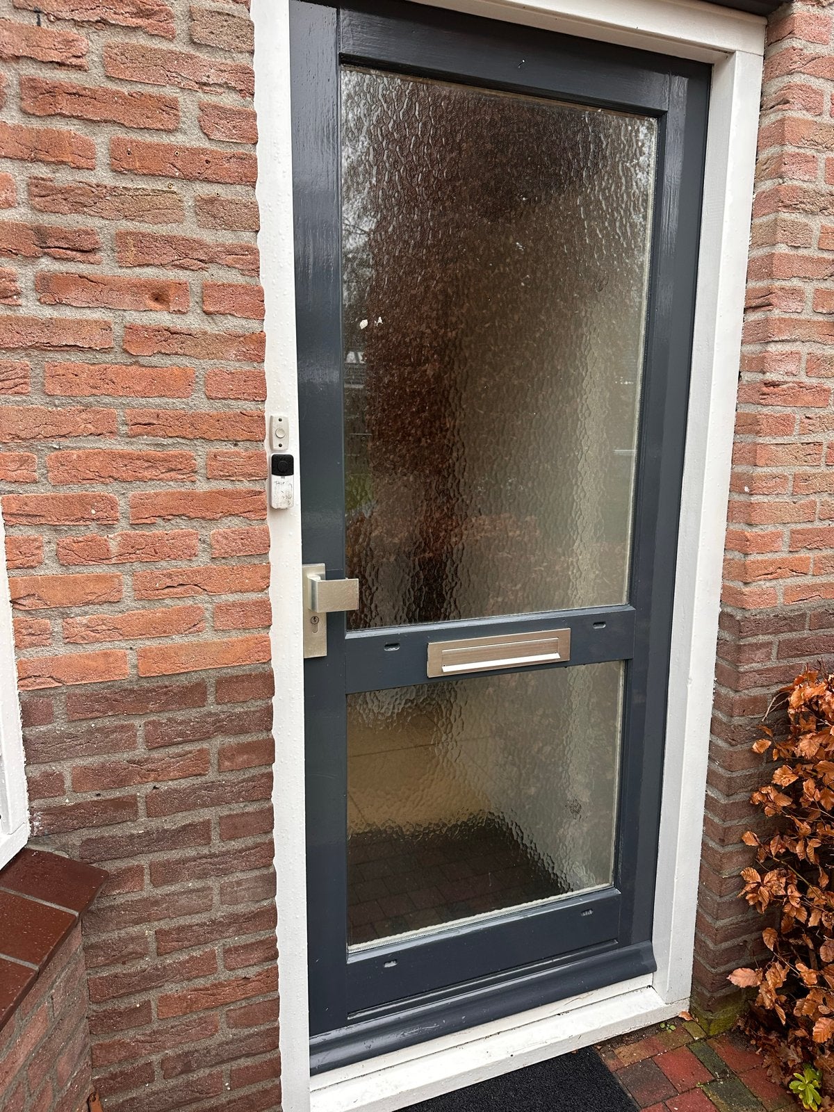 Voordeur met glas - reeds gedemonteerd, Doe-het-zelf en Verbouw, Gebruikt, 80 tot 100 cm, Ophalen of Verzenden, Buitendeur