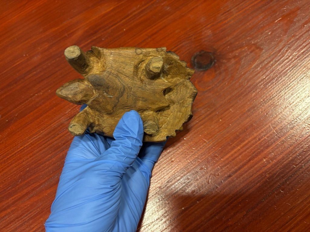 Handgesneden houten schildpad beeldje, Ophalen of Verzenden, Gebruikt, Dier
